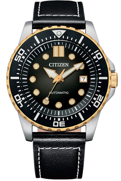 CITIZEN NJ0176-10E